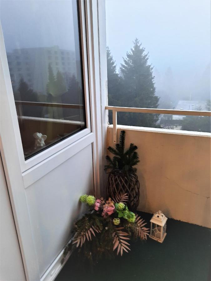 Funny Jungle Ferienwohnung Im Hahnenklee Гослар Екстер'єр фото