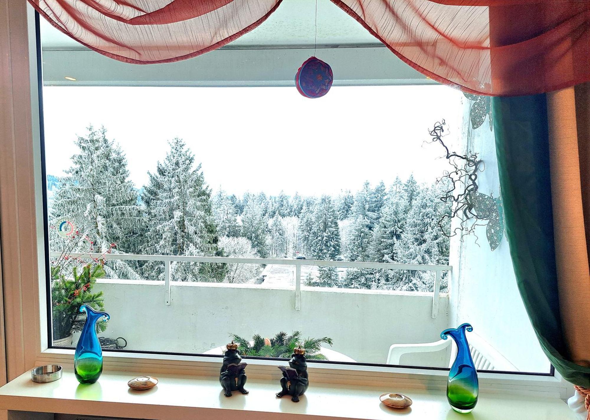 Funny Jungle Ferienwohnung Im Hahnenklee Гослар Екстер'єр фото